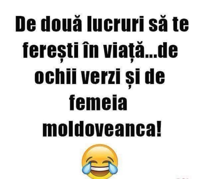  - Poze 3