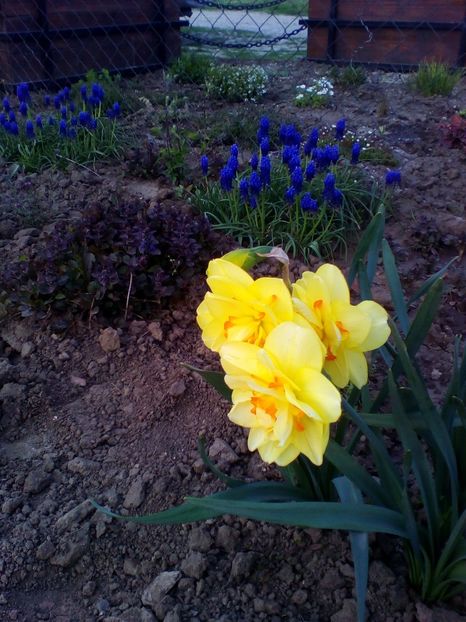  - curtea cu toate cele 2018