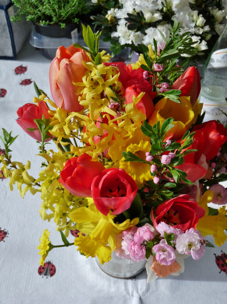  - 2018 - 01 - Primavara