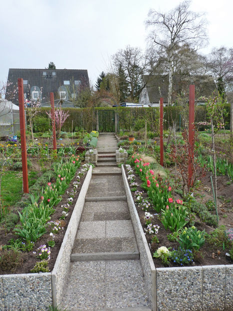  - 2018 - 01 - Primavara