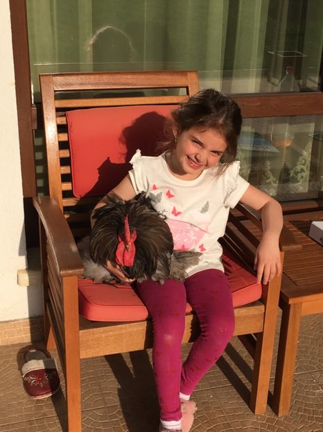 DA8E059A-78F8-4709-8C73-1F4D412E3BA2 - COCHI PITIC ALBASTRU 2018