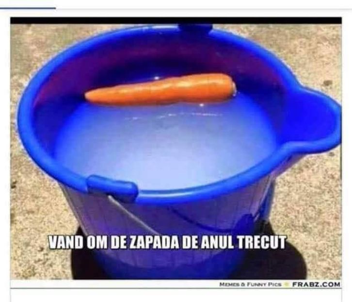  - Poze 3