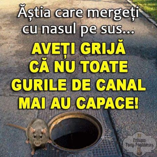  - Poze 3