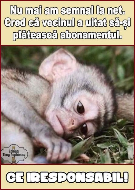  - Poze 3