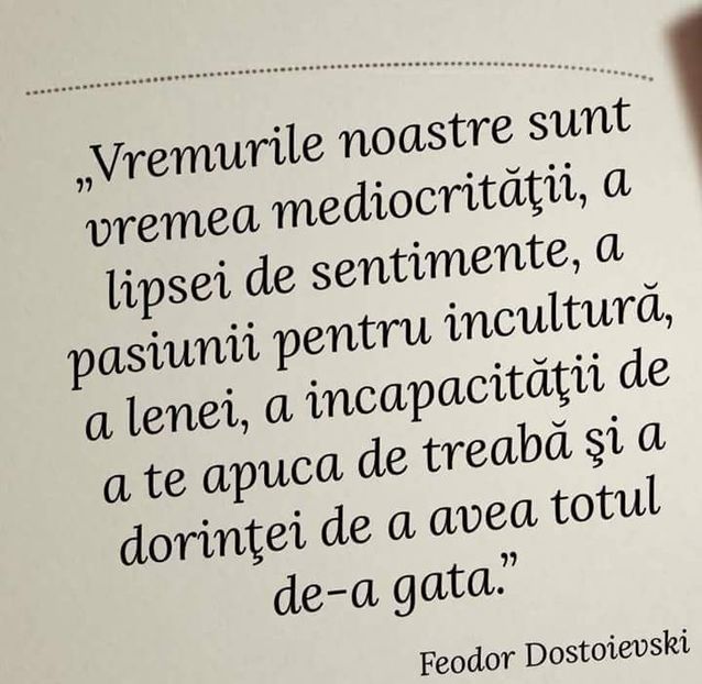  - Poze 3