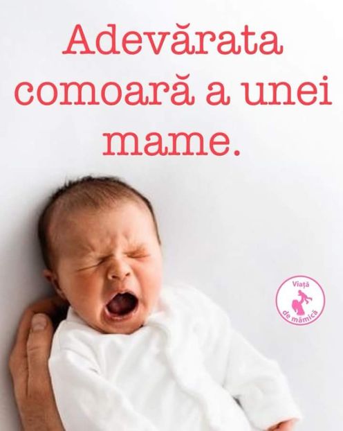  - Poze 3