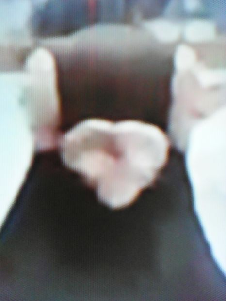  - CARUNCULATI INDIENI POLONEZI