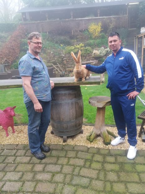  - A-Achiziti Germania 2018