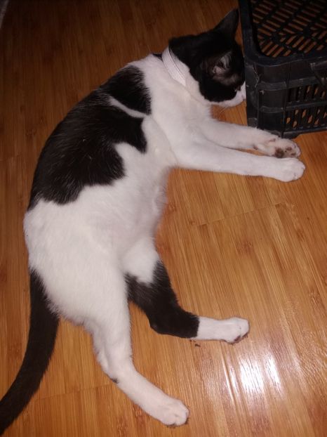  - Duracel în aprilie 2018