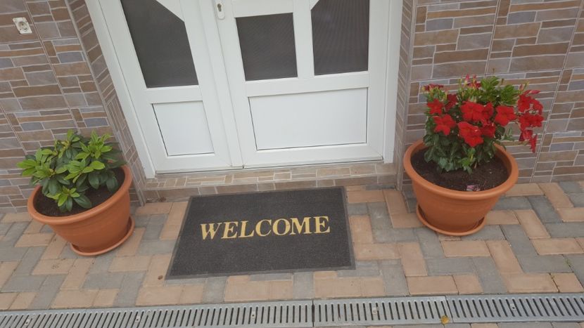  - Flori grădină primăvara 2018