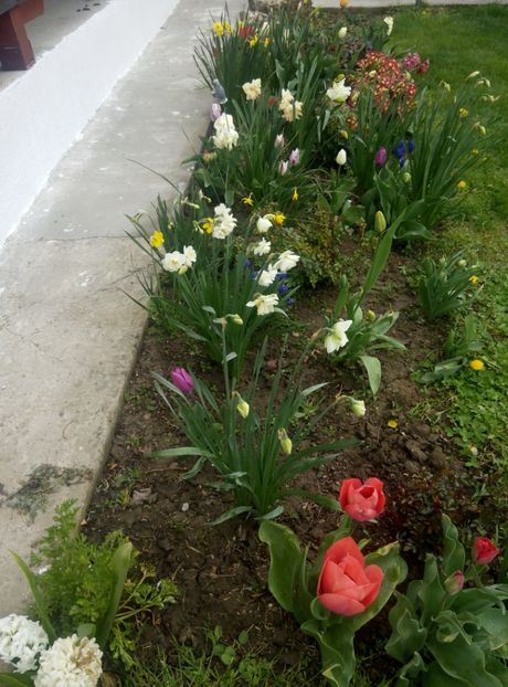 17 aprilie - gradina 2018