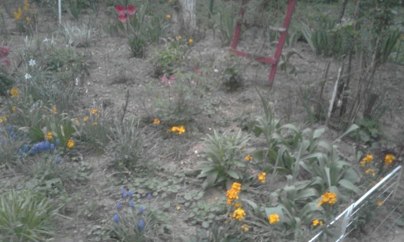 30713833_770493749816932_5033612185268387840_o - primavara2018