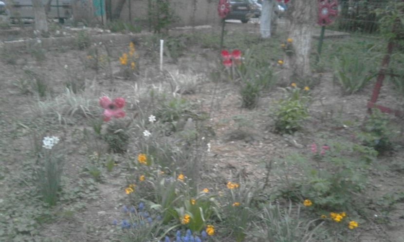 30724174_770493869816920_164072930437758976_o - primavara2018