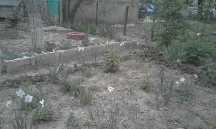 30727690_770494069816900_1703719788661964800_o - primavara2018