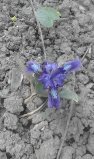 30728992_770101329856174_164299245149487104_o - primavara2018