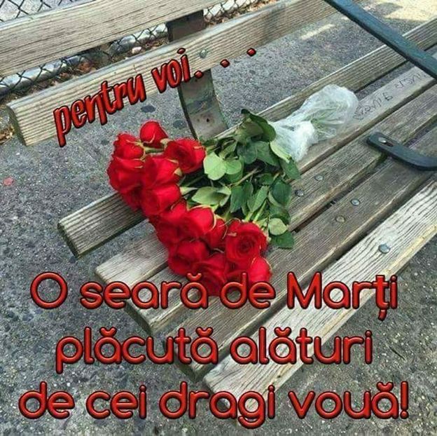  - Poze 3