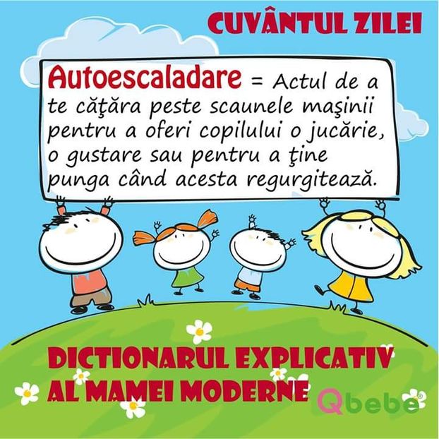  - Poze 3