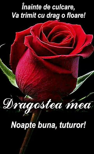  - Poze 3