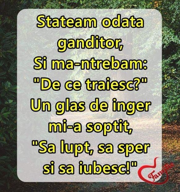 - Poze 3