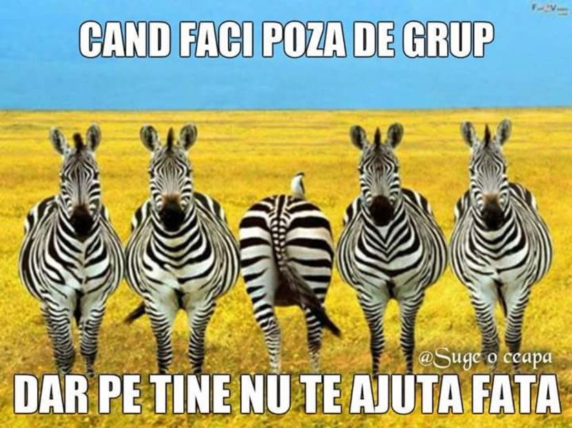  - Poze 3