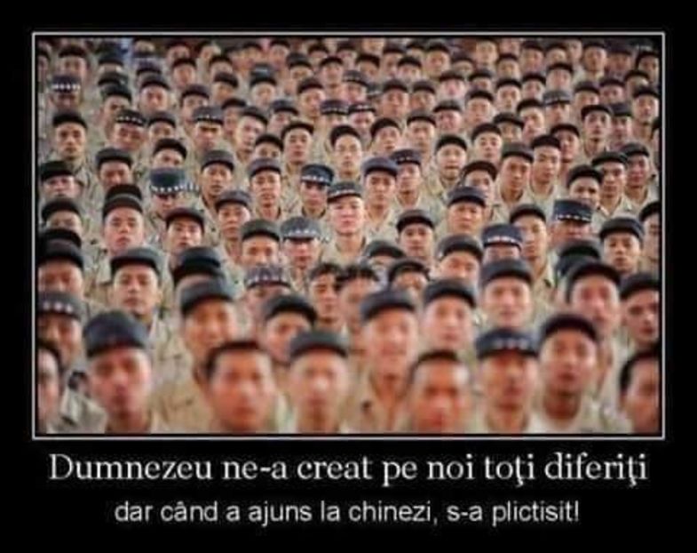  - Poze 3