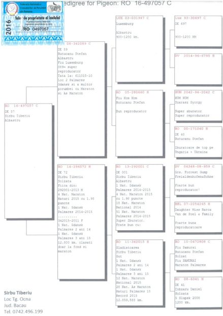 SKM_C224e18041812571_0001 - Pedigree masculi matca