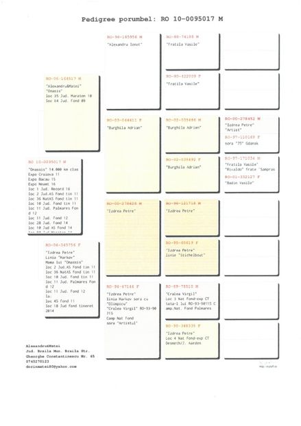 SKM_C224e18041812441_0001 - Pedigree masculi matca