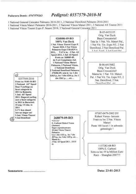 SKM_C224e18041812480_0001 - Pedigree masculi matca