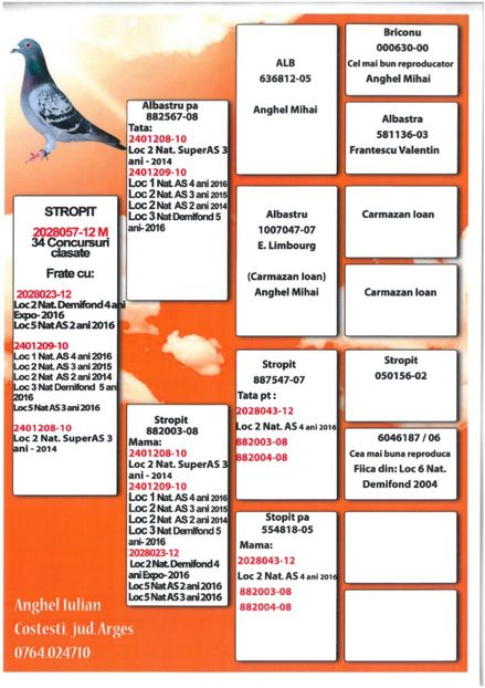 SKM_C224e18041812520_0001 - Pedigree masculi matca