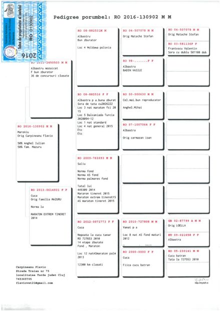 SKM_C224e18041813131_0001 - Pedigree masculi matca