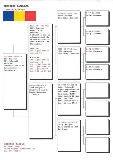 SKM_C224e18041812560_0001 - Pedigree masculi matca