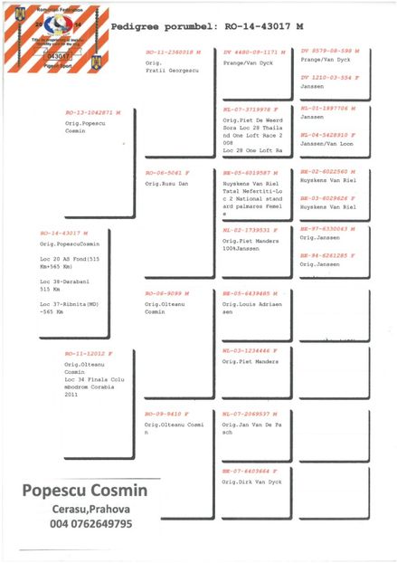 SKM_C224e18041812521_0001 - Pedigree masculi matca