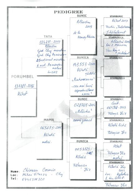 SKM_C224e18041812581_0001 - Pedigree masculi matca