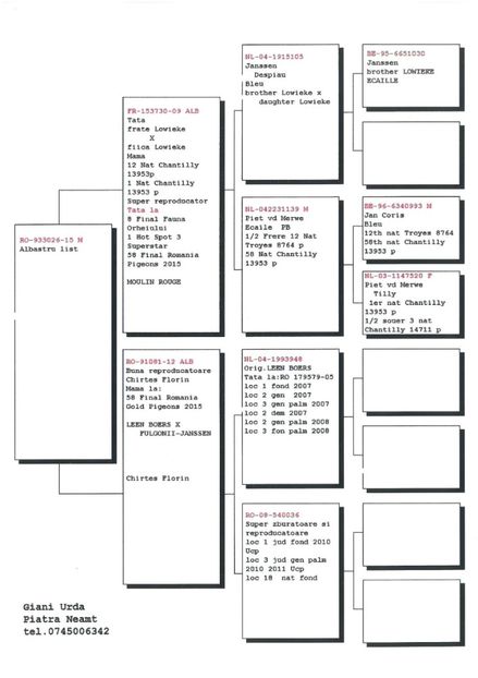 SKM_C224e18041812490_0001 - Pedigree masculi matca