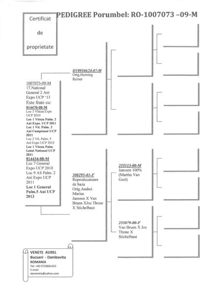 SKM_C224e18041813141_0001 - Pedigree masculi matca