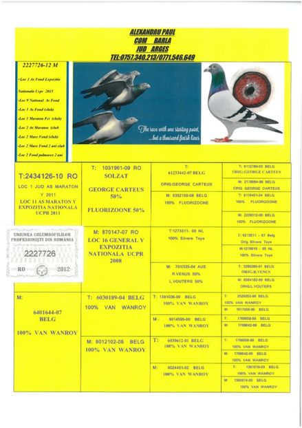 SKM_C224e18041812450_0001 - Pedigree masculi matca