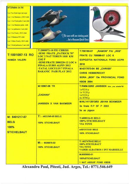 SKM_C224e18041812471_0001 - Pedigree masculi matca