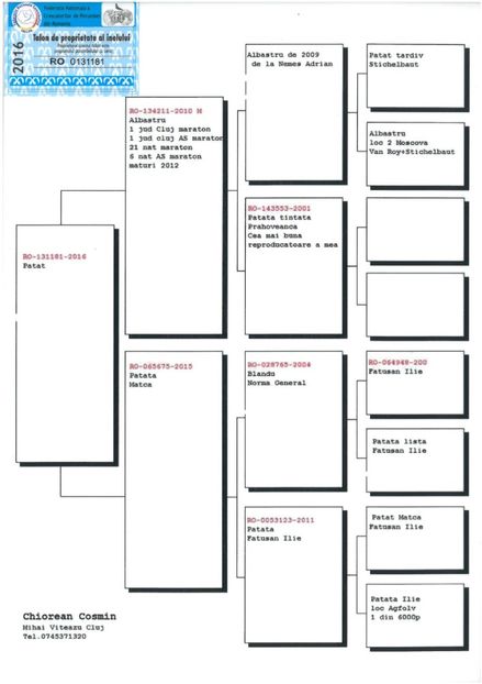 SKM_C224e18041812580_0001 - Pedigree masculi matca