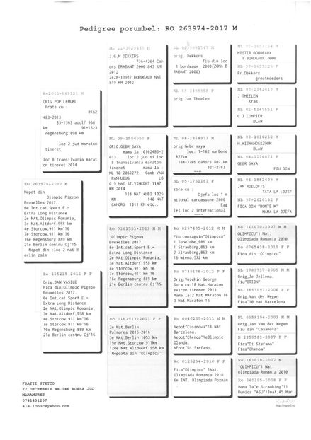 SKM_C224e18041813022_0001 - Pedigree masculi matca