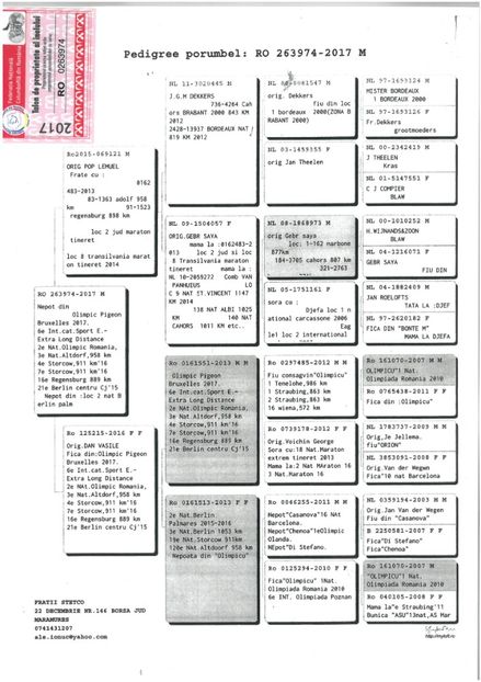 SKM_C224e18041813021_0001 - Pedigree masculi matca