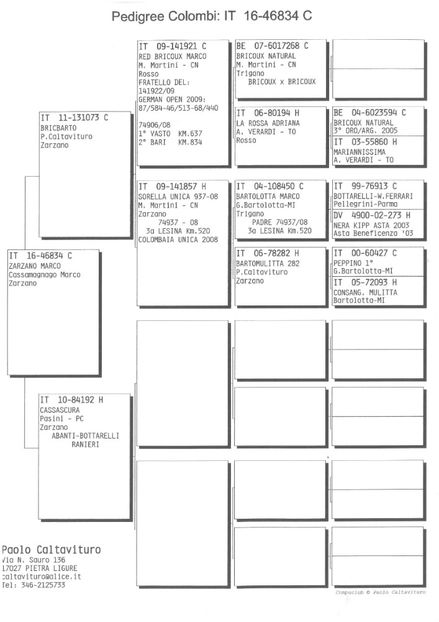 SKM_C224e18041813070_0001 - Pedigree masculi matca