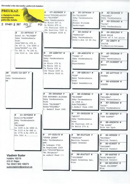 SKM_C224e18041813050_0001 - Pedigree masculi matca