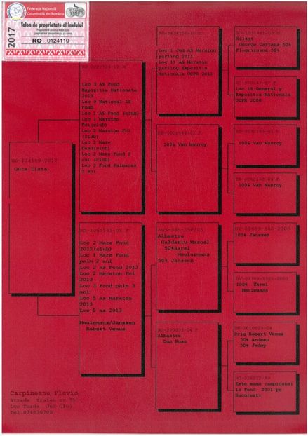 SKM_C224e18041813020_0001 - Pedigree masculi matca