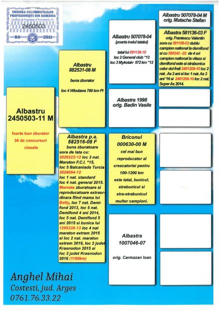 SKM_C224e18041812531_0001 - Pedigree masculi matca