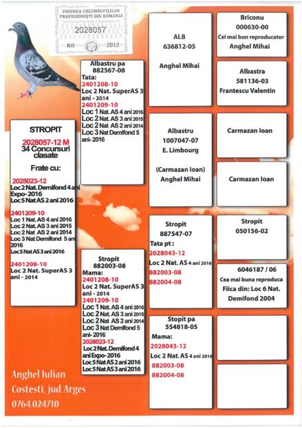 SKM_C224e18041812510_0001 - Pedigree masculi matca