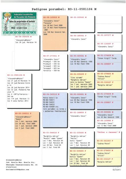 SKM_C224e18041812430_0001 - Pedigree masculi matca