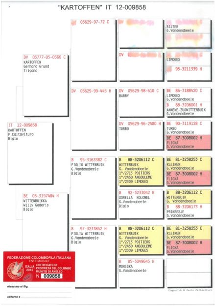 SKM_C224e18041812330_0001 - Pedigree masculi matca