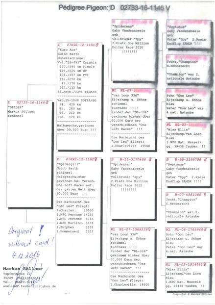 SKM_C224e18041812340_0001 - Pedigree masculi matca