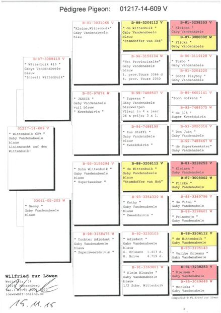 SKM_C224e18041812331_0001 - Pedigree masculi matca