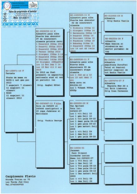 SKM_C224e18041814000_0001 - Pedigree masculi matca